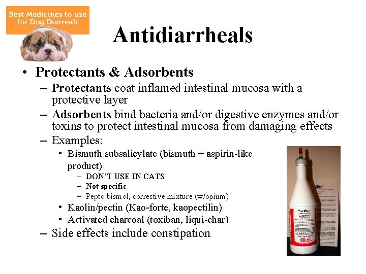 Antidiarrheals • Protectants & Adsorbents – Protectants coat inflamed intestinal mucosa with a protective