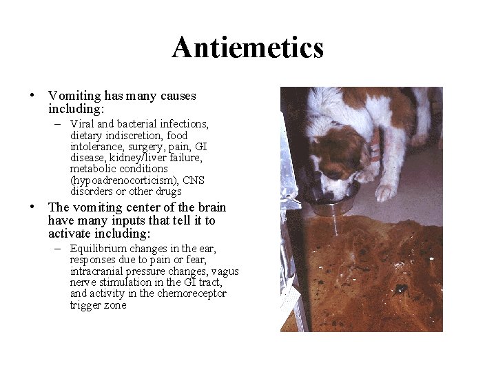 Antiemetics • Vomiting has many causes including: – Viral and bacterial infections, dietary indiscretion,