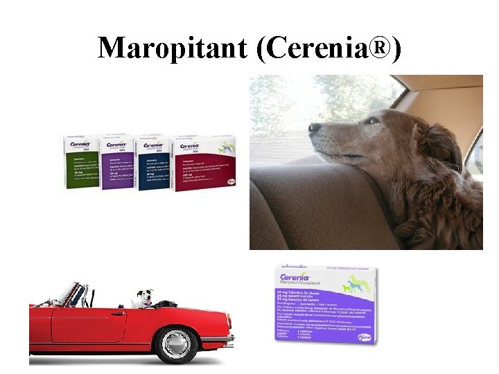 Maropitant (Cerenia®) 