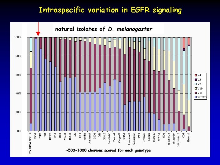 Intraspecific variation in EGFR signaling 