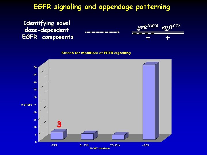 EGFR signaling and appendage patterning Identifying novel dose-dependent EGFR components 3 grk. HK 36