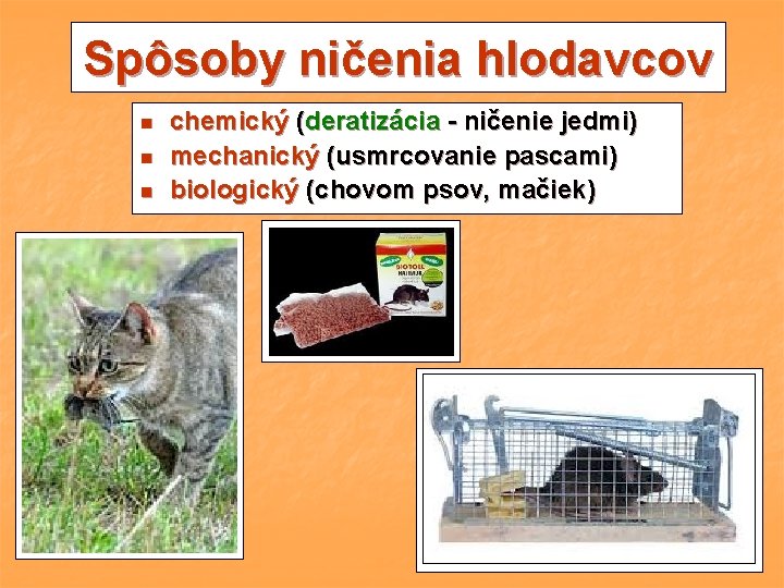 Spôsoby ničenia hlodavcov n n n chemický (deratizácia - ničenie jedmi) mechanický (usmrcovanie pascami) Spôsoby ničenia hlodavcov n n n chemický (deratizácia - ničenie jedmi) mechanický (usmrcovanie pascami)