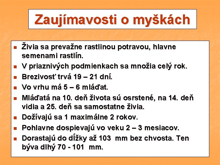 Zaujímavosti o myškách n n n n Živia sa prevažne rastlinou potravou, hlavne semenami Zaujímavosti o myškách n n n n Živia sa prevažne rastlinou potravou, hlavne semenami