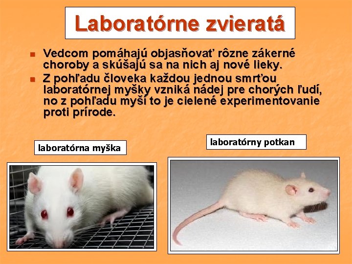 Laboratórne zvieratá n n Vedcom pomáhajú objasňovať rôzne zákerné choroby a skúšajú sa na Laboratórne zvieratá n n Vedcom pomáhajú objasňovať rôzne zákerné choroby a skúšajú sa na