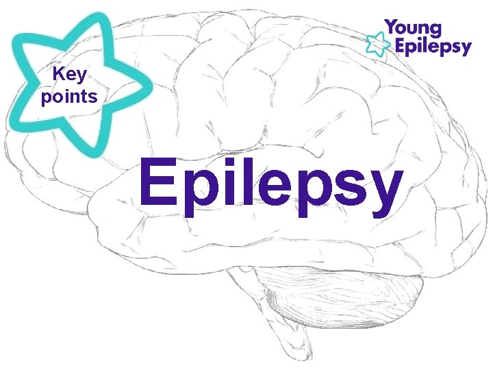 Key points Epilepsy 