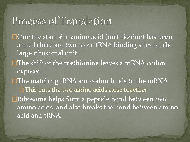 Process of Translation �One the start site amino acid (methionine) has been added there