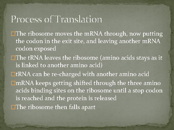 Process of Translation �The ribosome moves the m. RNA through, now putting the codon
