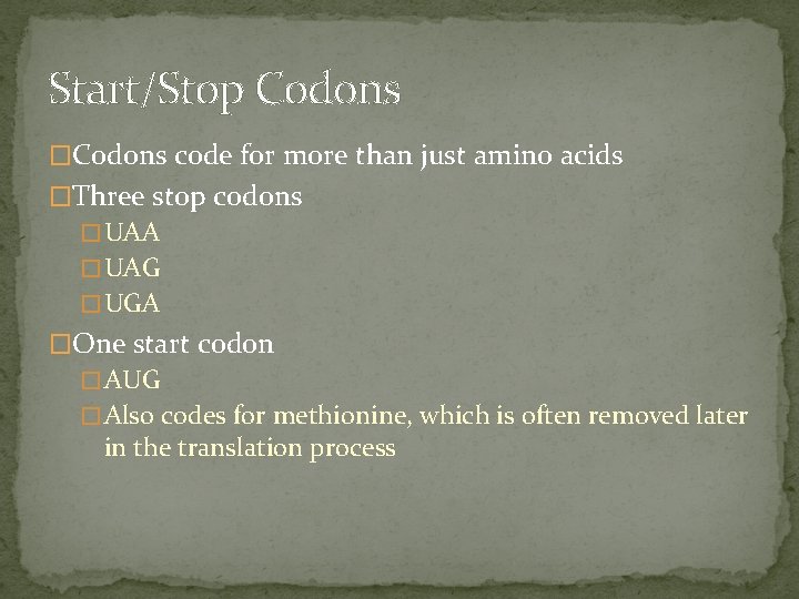 Start/Stop Codons �Codons code for more than just amino acids �Three stop codons �