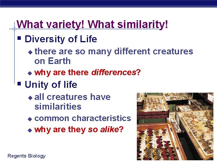What variety! What similarity! § Diversity of Life u u there are so many