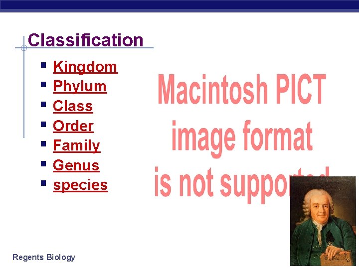 Classification § Kingdom § Phylum § Class § Order § Family § Genus §