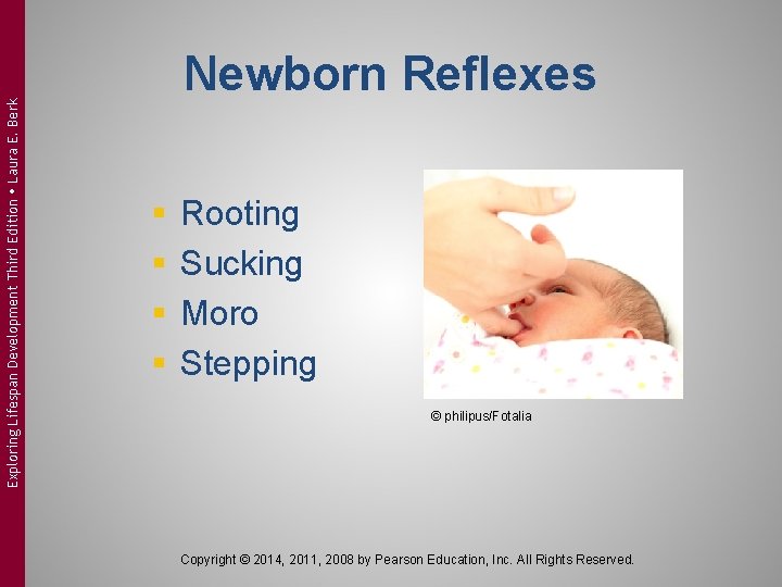 Exploring Lifespan Development Third Edition Laura E. Berk Newborn Reflexes § § Rooting Sucking