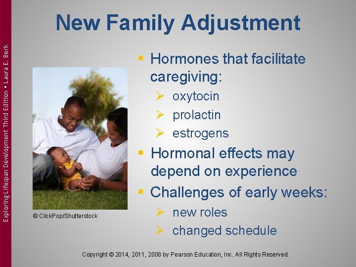 Exploring Lifespan Development Third Edition Laura E. Berk New Family Adjustment § Hormones that