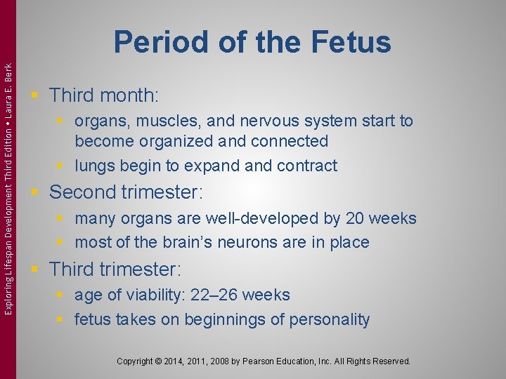 Exploring Lifespan Development Third Edition Laura E. Berk Period of the Fetus § Third