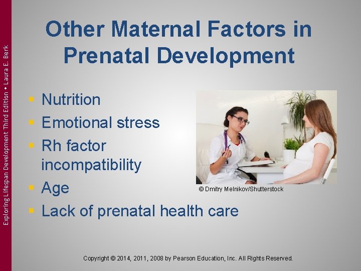 Exploring Lifespan Development Third Edition Laura E. Berk Other Maternal Factors in Prenatal Development