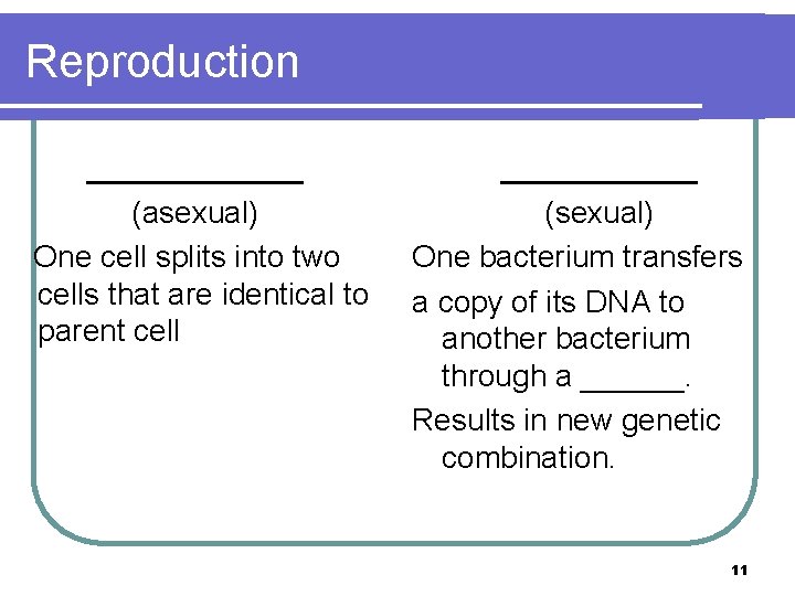 Reproduction ______ (asexual) One cell splits into two cells that are identical to parent