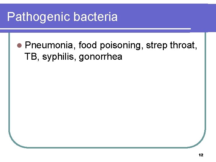 Pathogenic bacteria l Pneumonia, food poisoning, strep throat, TB, syphilis, gonorrhea 12 