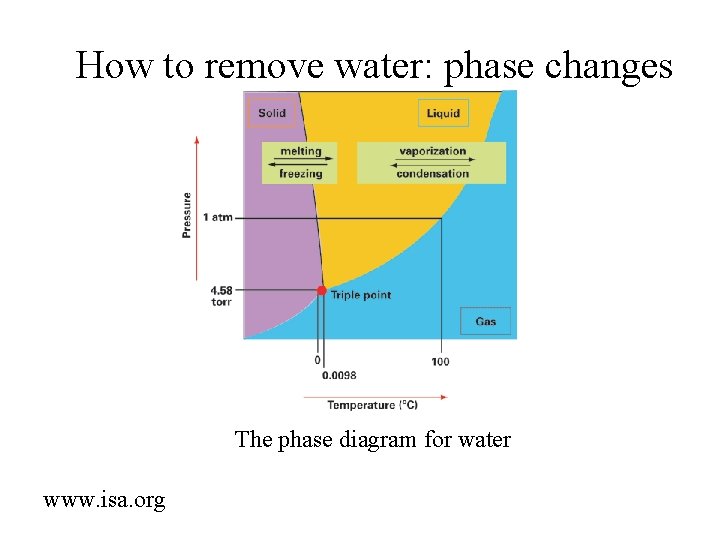 How to remove water: phase changes The phase diagram for water www. isa. org