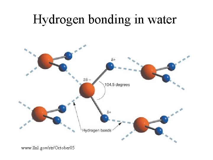 Hydrogen bonding in water www. llnl. gov/str/October 05 