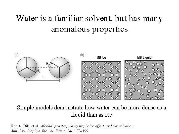 Water is a familiar solvent, but has many anomalous properties Simple models demonstrate how