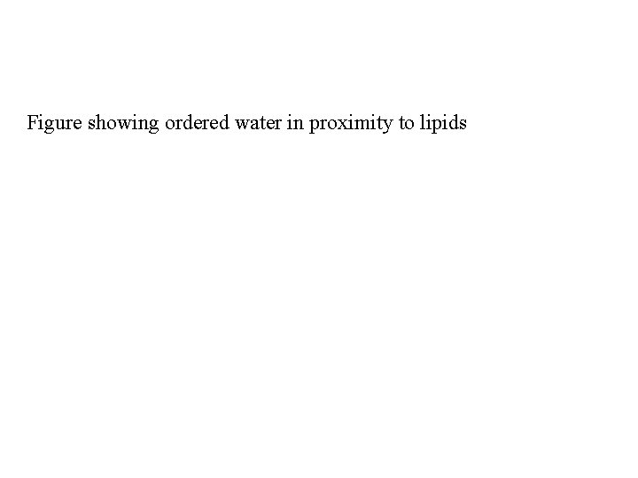 Figure showing ordered water in proximity to lipids 