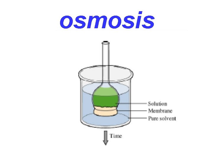 osmosis 
