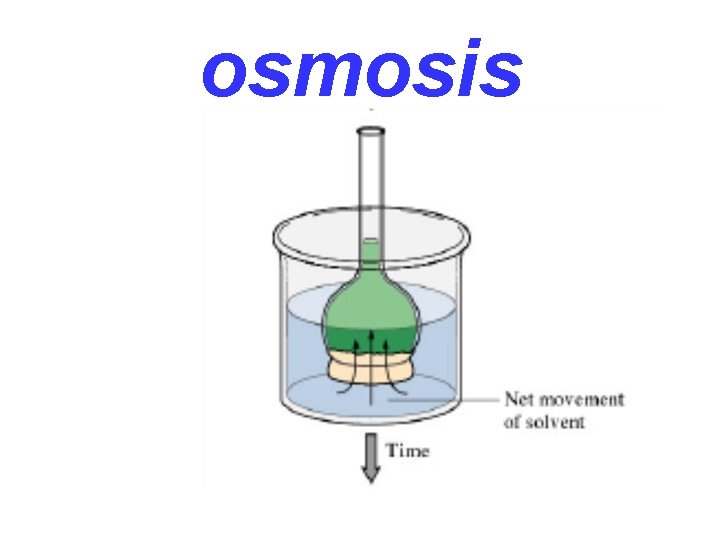 osmosis 