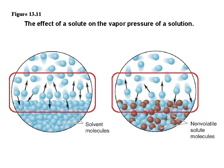 Figure 13. 11 The effect of a solute on the vapor pressure of a