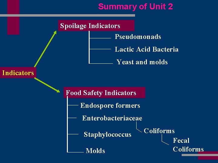 Summary of Unit 2 Spoilage Indicators Pseudomonads Lactic Acid Bacteria Yeast and molds Indicators