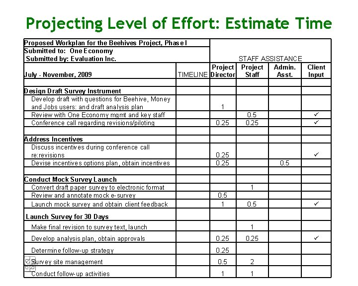 Projecting Level of Effort: Estimate Time Proposed Workplan for the Beehives Project, Phase I