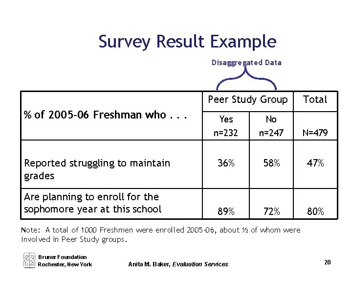 Survey Result Example Disaggregated Data Peer Study Group % of 2005 -06 Freshman who.