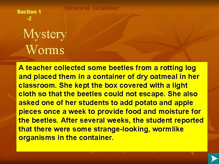 Section 1 -2 Interest Grabber Mystery Worms A teacher collected some beetles from a