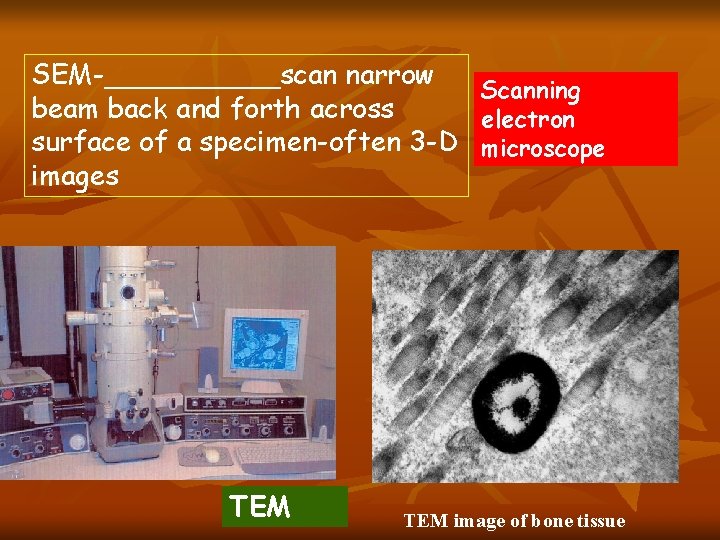 SEM-_____scan narrow Scanning beam back and forth across electron surface of a specimen-often 3