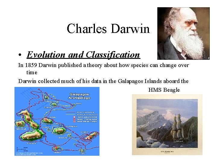 Charles Darwin • Evolution and Classification In 1859 Darwin published a theory about how