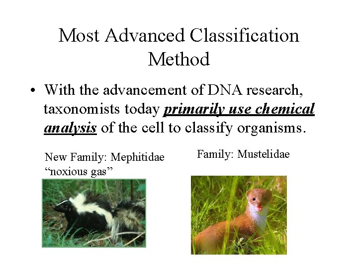 Most Advanced Classification Method • With the advancement of DNA research, taxonomists today primarily