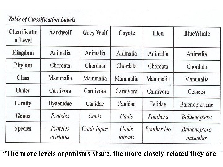 *The more levels organisms share, the more closely related they are 