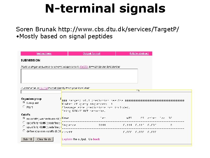 N-terminal signals Soren Brunak http: //www. cbs. dtu. dk/services/Target. P/ • Mostly based on