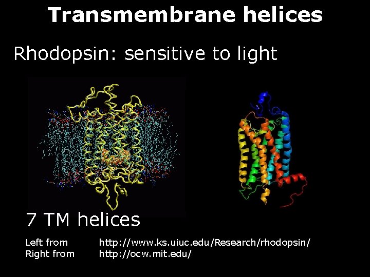 Transmembrane helices Rhodopsin: sensitive to light 7 TM helices Left from Right from http: