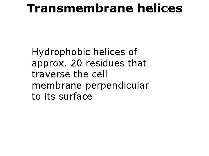 Transmembrane helices Hydrophobic helices of approx. 20 residues that traverse the cell membrane perpendicular