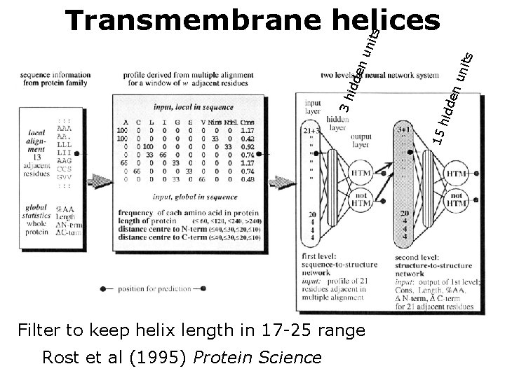uni ts den hid 15 3 h idd en uni ts Transmembrane helices Filter
