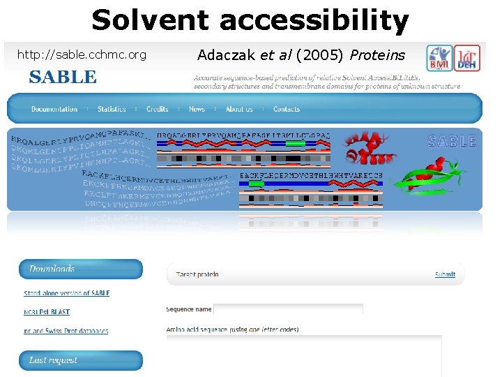 Solvent accessibility http: //sable. cchmc. org Adaczak et al (2005) Proteins 