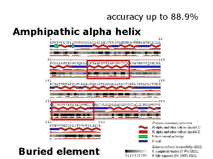 accuracy up to 88. 9% Amphipathic alpha helix Buried element 