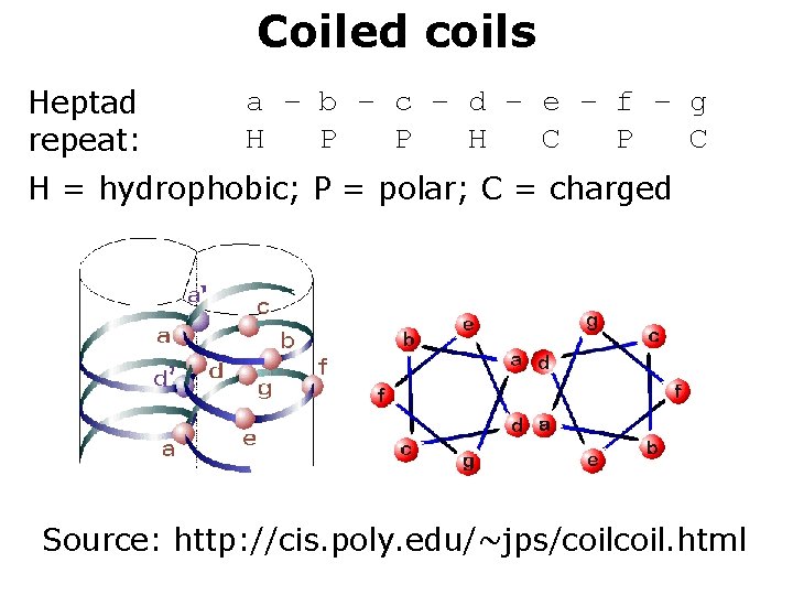 Coiled coils Heptad repeat: a – b – c – d – e –