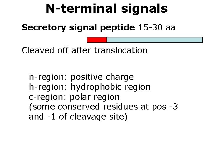 N-terminal signals Secretory signal peptide 15 -30 aa Cleaved off after translocation n-region: positive
