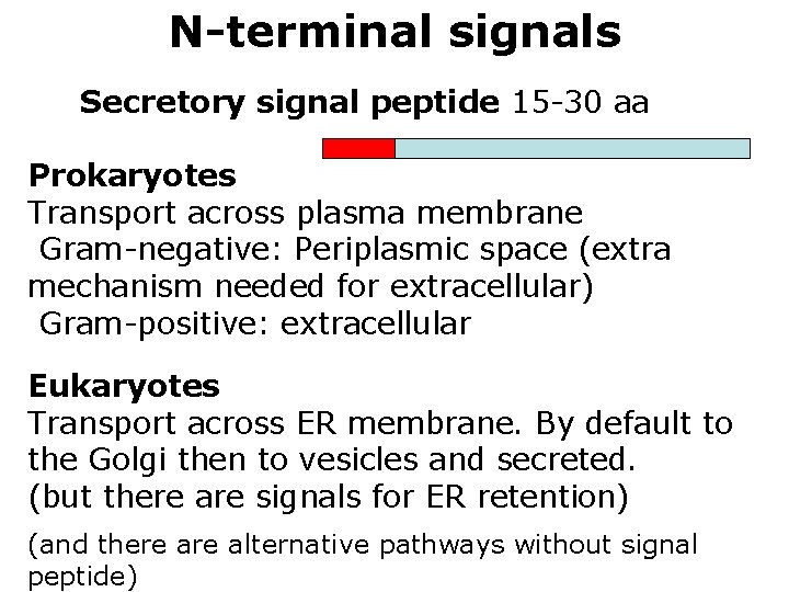 N-terminal signals Secretory signal peptide 15 -30 aa Prokaryotes Transport across plasma membrane Gram-negative: