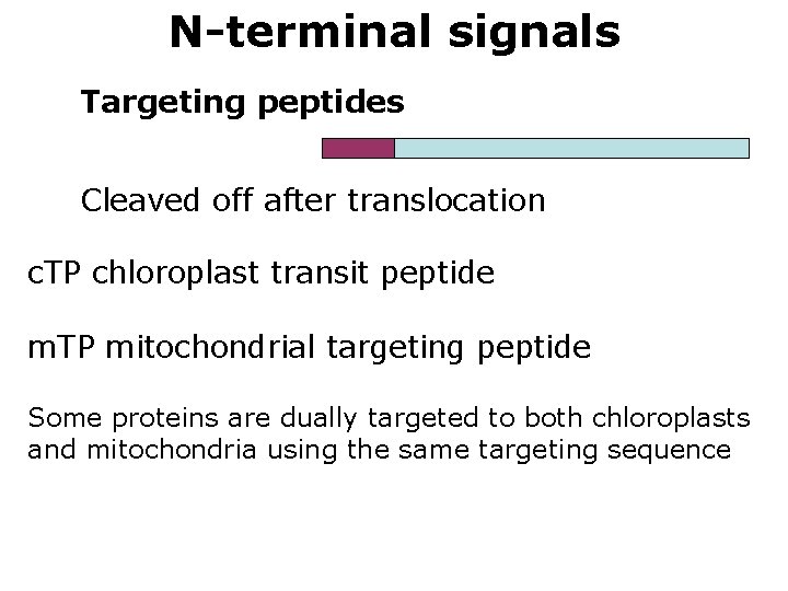 N-terminal signals Targeting peptides Cleaved off after translocation c. TP chloroplast transit peptide m.