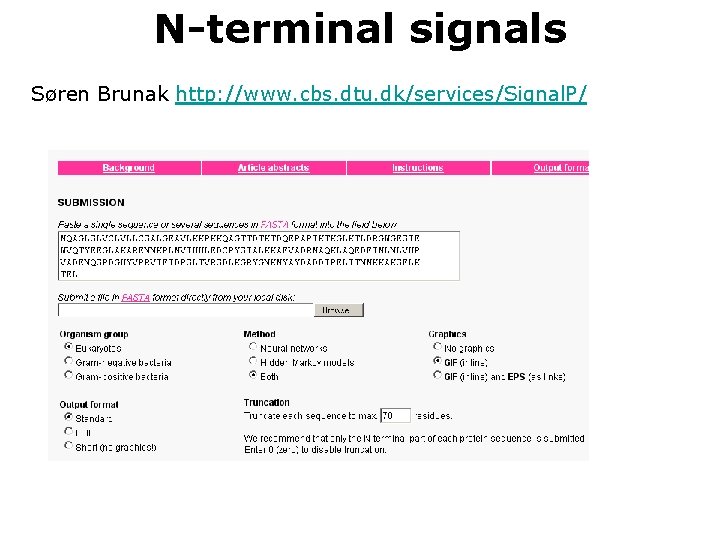 N-terminal signals Søren Brunak http: //www. cbs. dtu. dk/services/Signal. P/ 