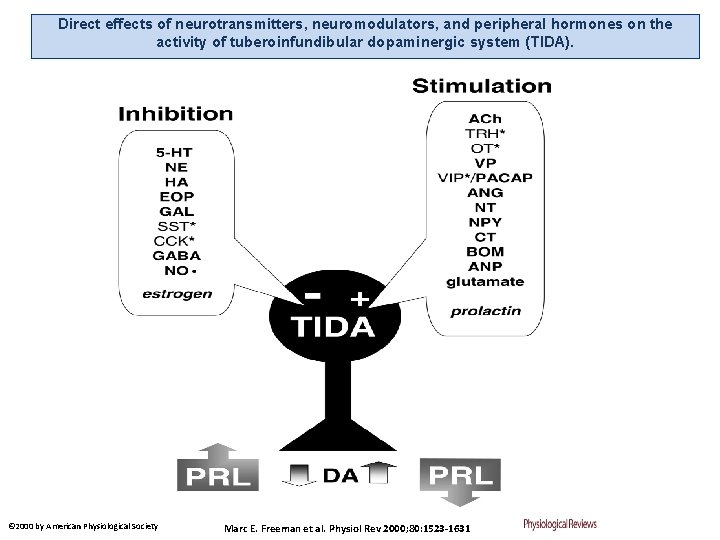 Direct effects of neurotransmitters, neuromodulators, and peripheral hormones on the activity of tuberoinfundibular dopaminergic