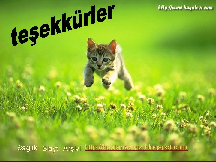 Sağlık Slayt Arşivi: http: //hastaneciyiz. blogspot. com 