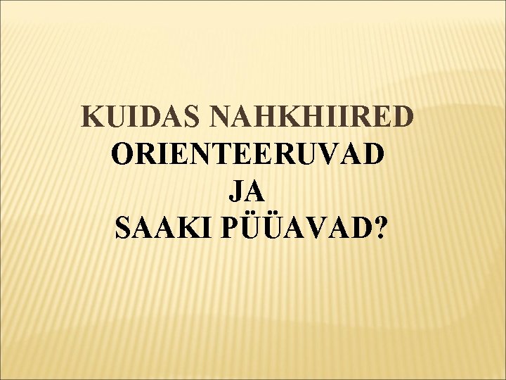 KUIDAS NAHKHIIRED ORIENTEERUVAD JA SAAKI PÜÜAVAD? 