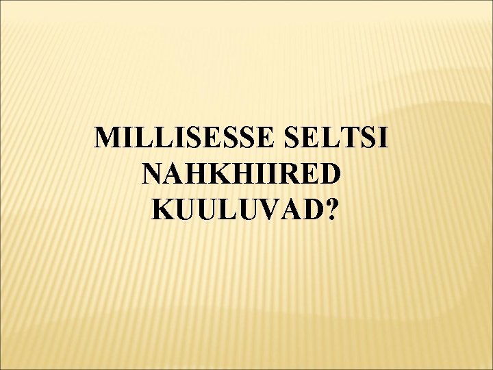 MILLISESSE SELTSI NAHKHIIRED KUULUVAD? 